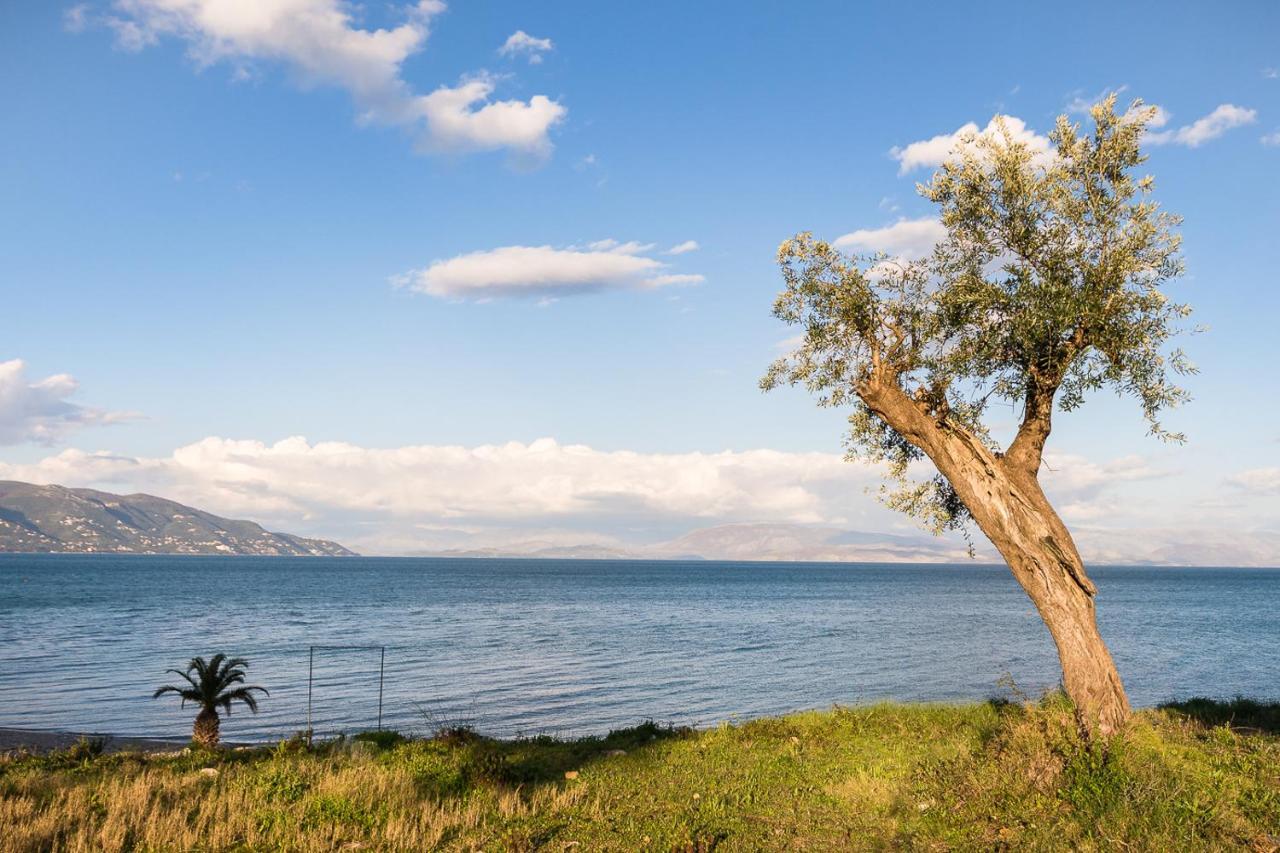 Merlyn Rooms Into The Nature, 100M From The Beach Dafnila Extérieur photo